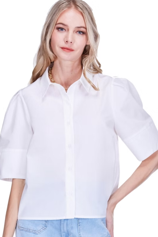 Lantern Sleeve Blouse