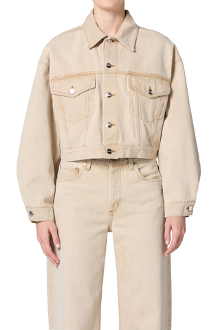 Palmer Jacket In Arena