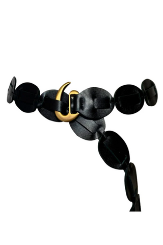 Shishi Belt