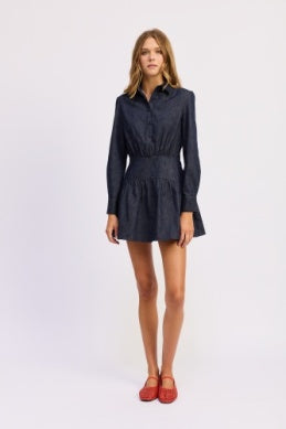 Darby Mini Dress